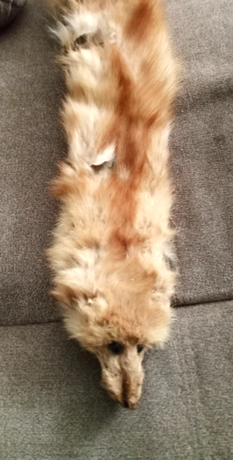 Vintage 3-24in. Long Beige Fox Pelt Stole Collar–72in. Long-As Is