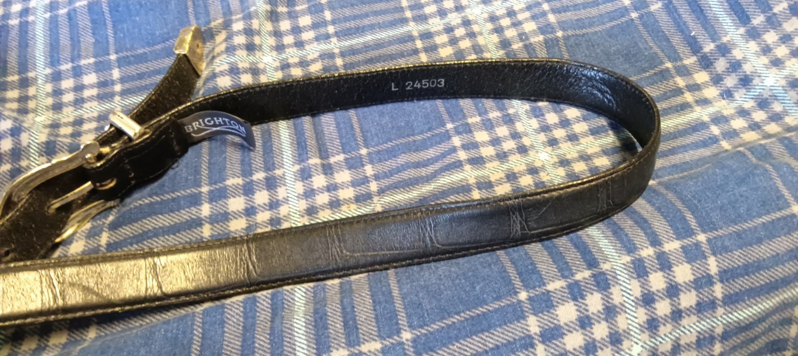 Brighton Western Belt Reptile Leather Silvertone Furled Buckle L 24503 Vintage