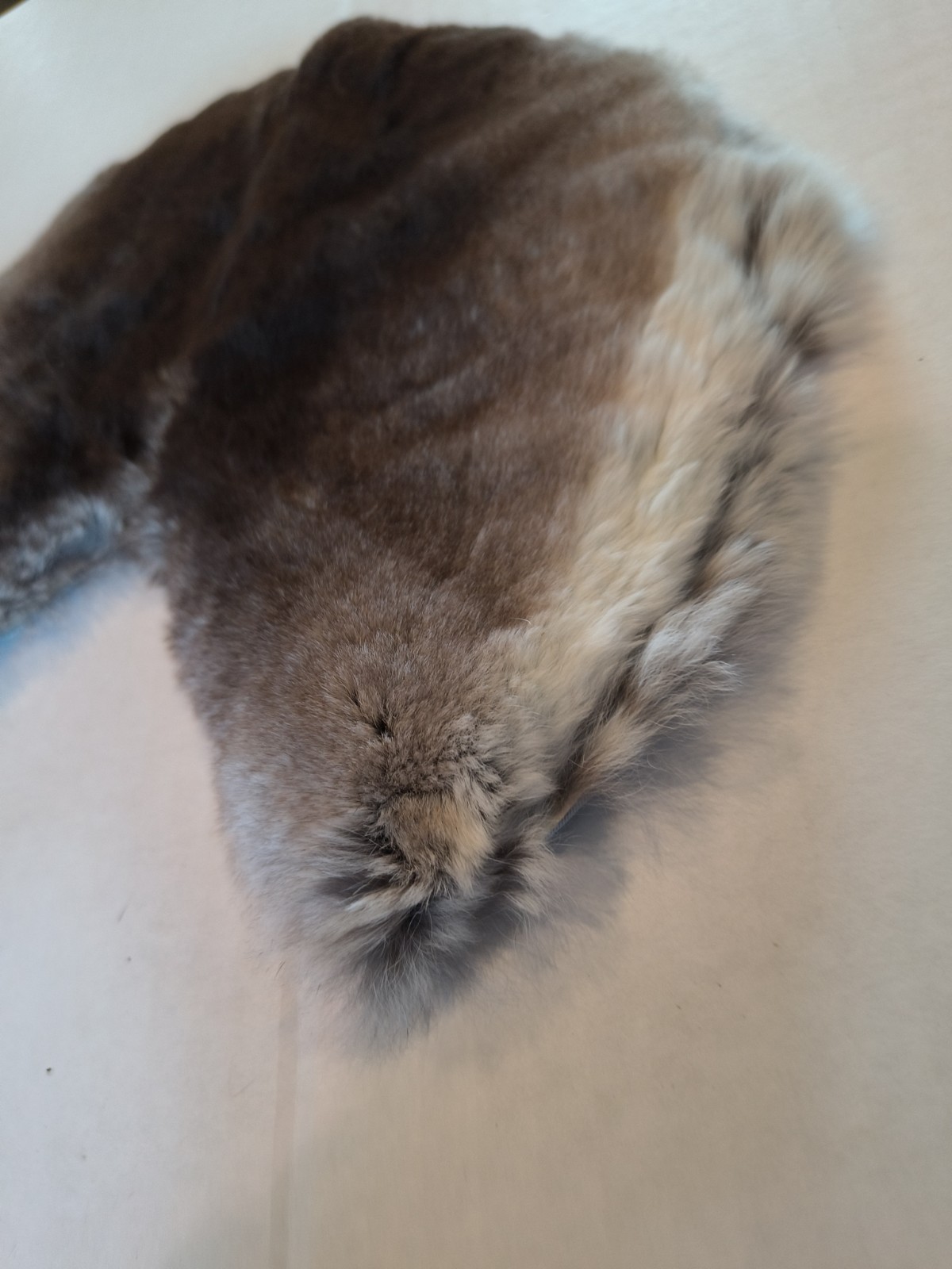Vintage Collar Mink Super Soft 10 Inch