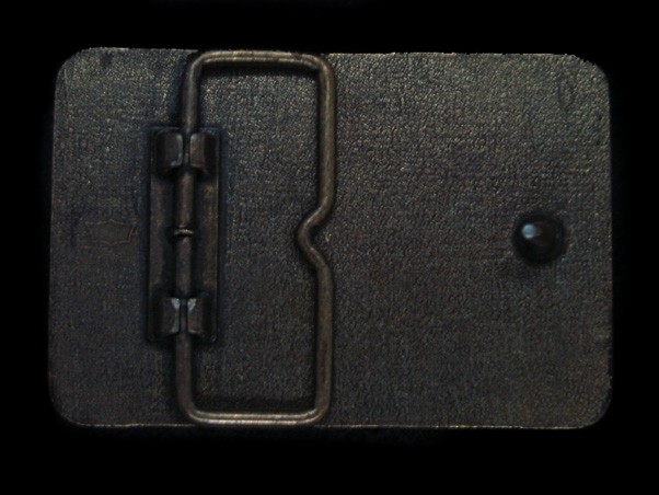 TH15130 VINTAGE 1970s **FROM NOW ON ALL YOU NEED IS DYFONATE** BELT BUCKLE