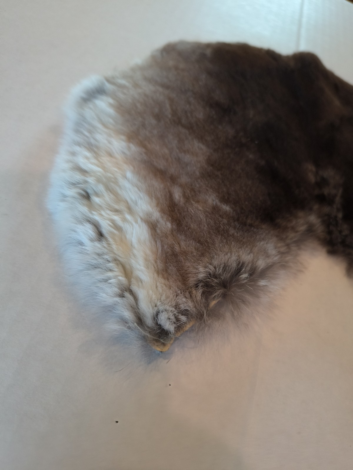 Vintage Collar Mink Super Soft 10 Inch