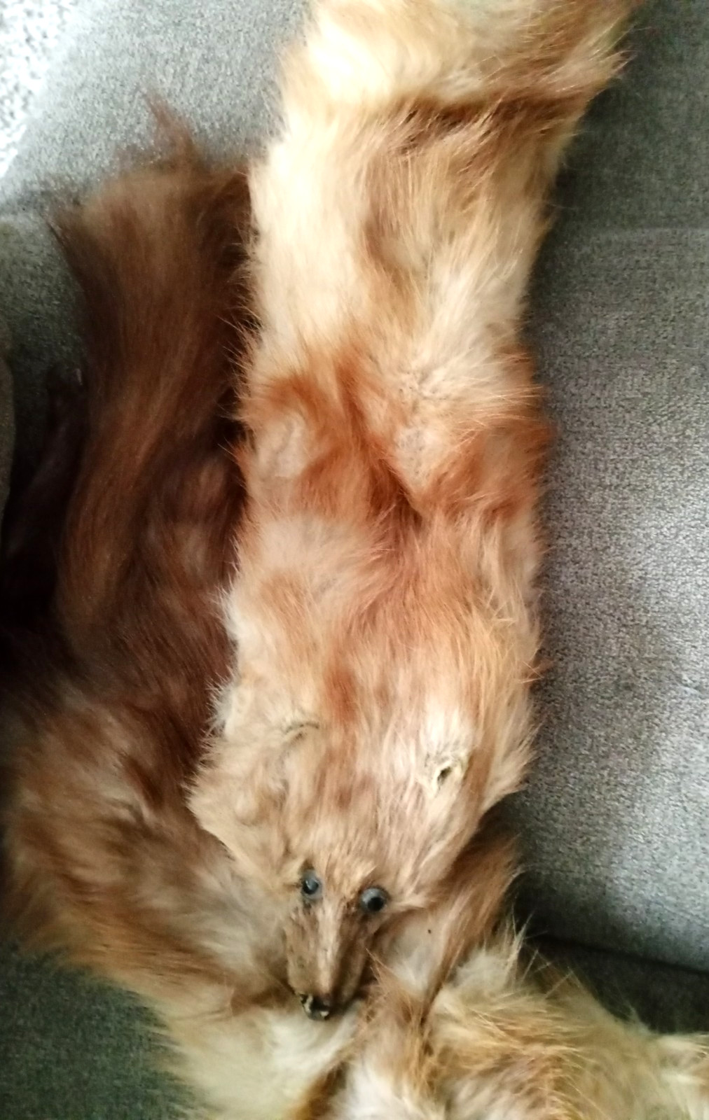 Vintage 3-24in. Long Beige Fox Pelt Stole Collar–72in. Long-As Is