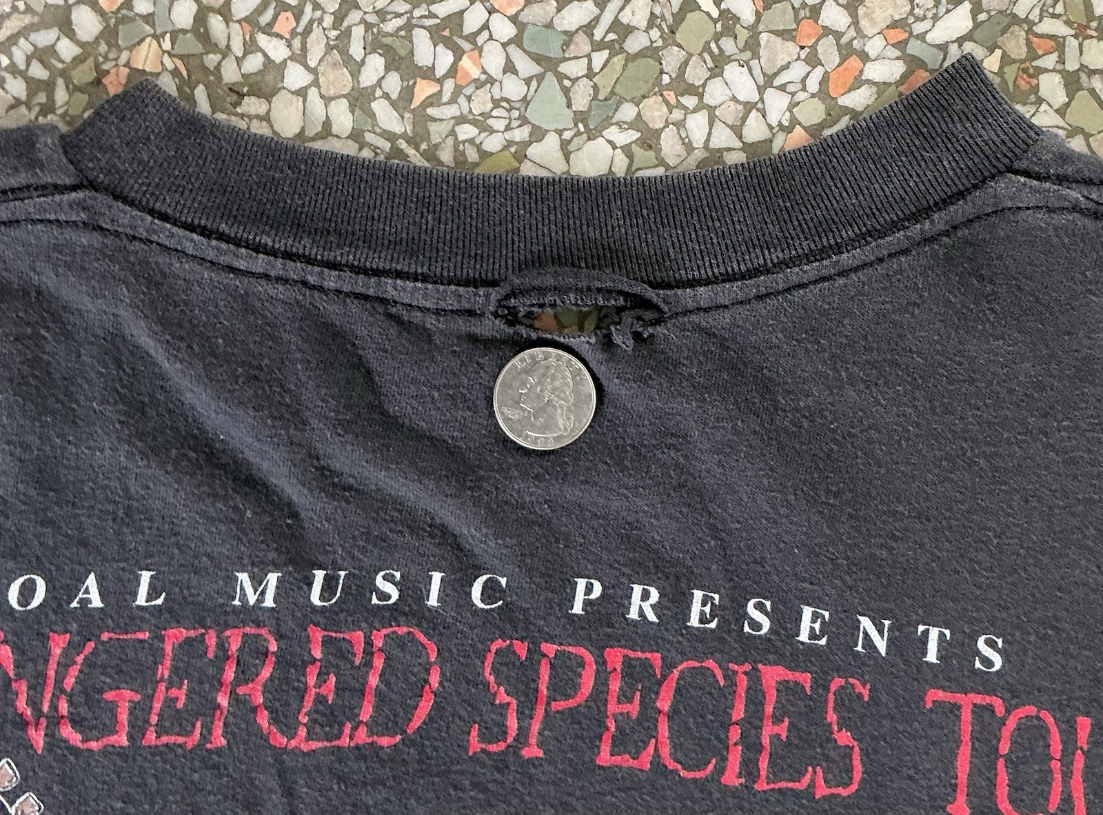 Vintage 1994 Lynyrd Skynyrd Endangered Species Tour Single Stitch L:27”W:24”