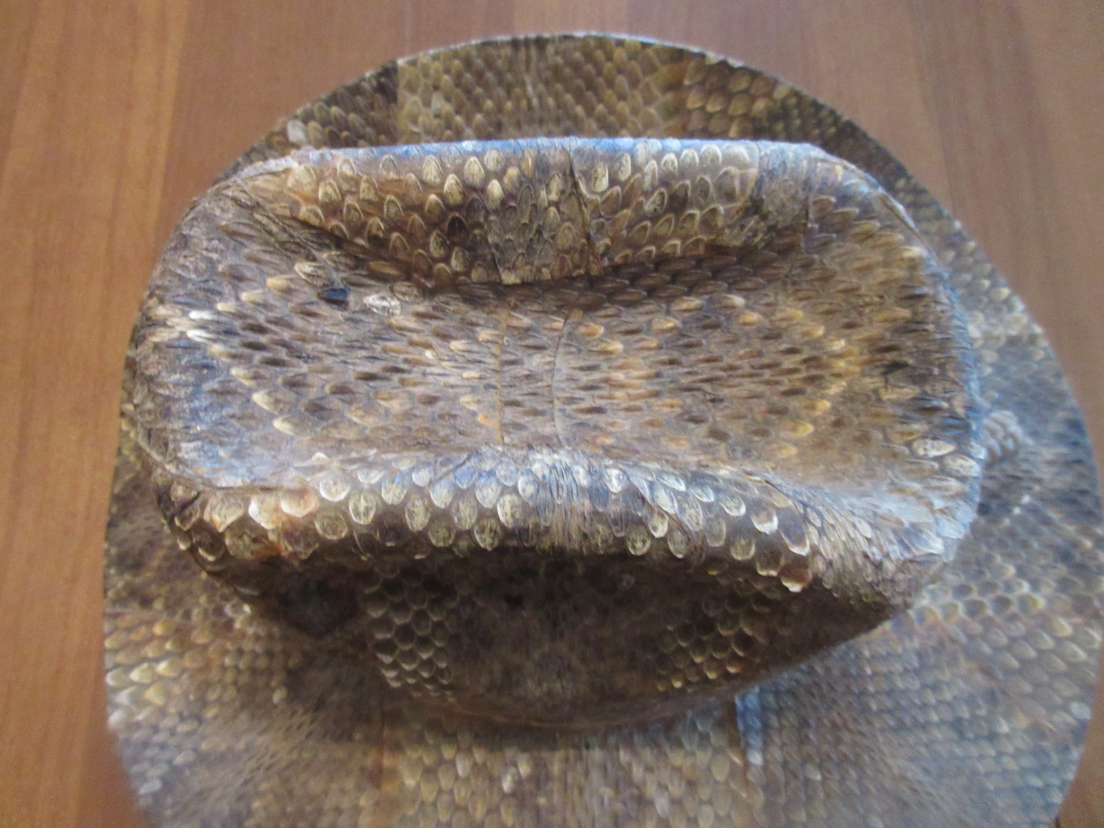 VINTAGE DYNAFELT DERBY RATTLESNAKE SKIN COWBOY HAT WITH RATTLE SZ 6 7/8 RARE