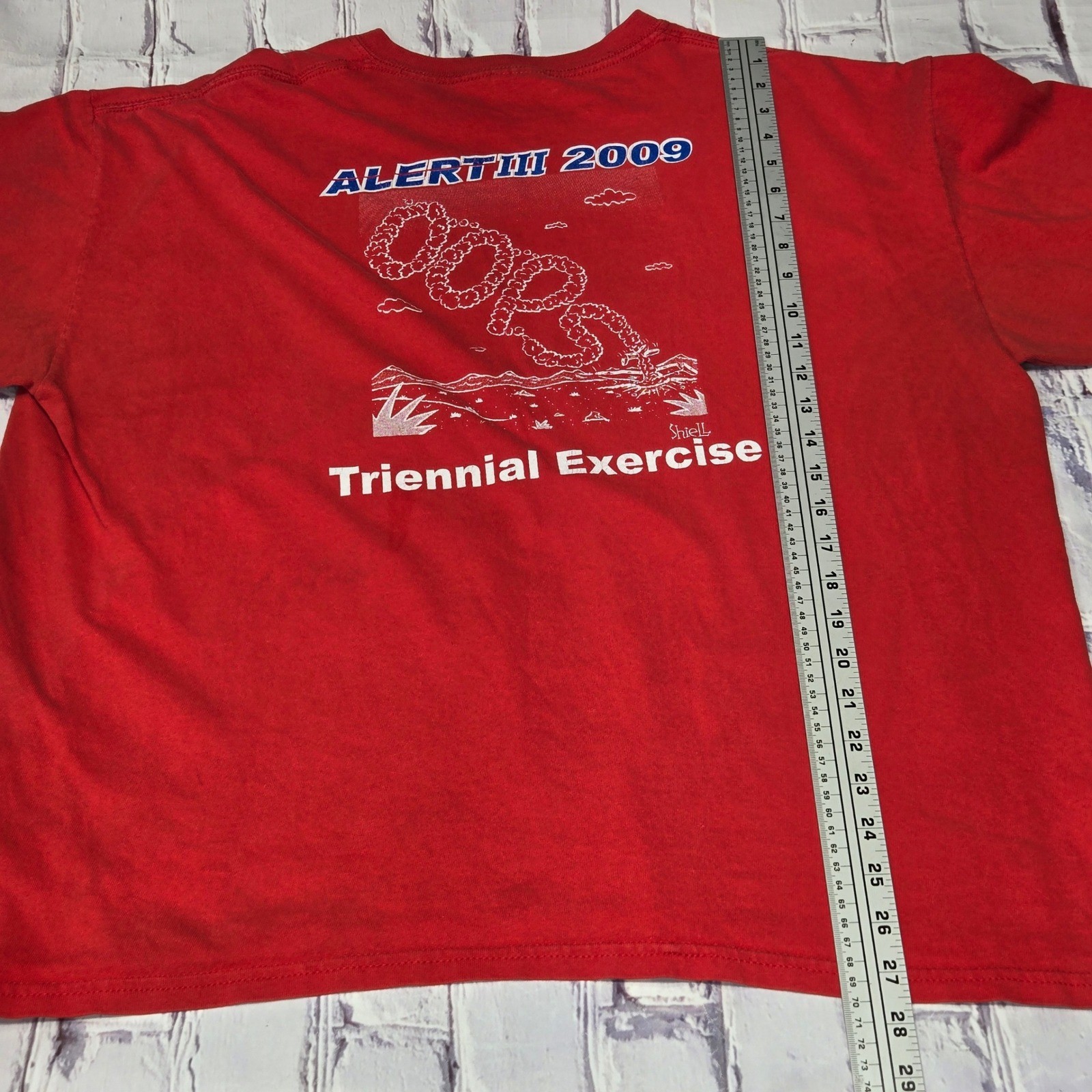 Vintage 2009 Eagle Airport Fly Vail Distressed Thrashed TShirt Men XL Red Gildan