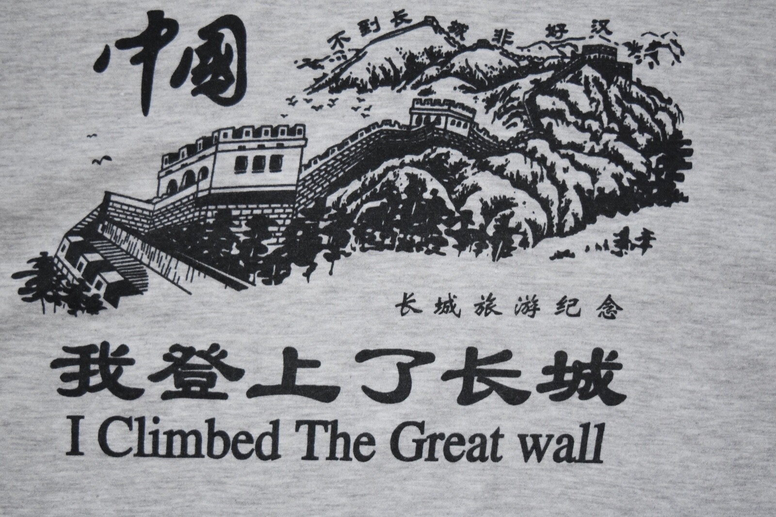 VTG I Climbed the Great Wall of China Gray Mens Souvenir T Shirt Art Museum M