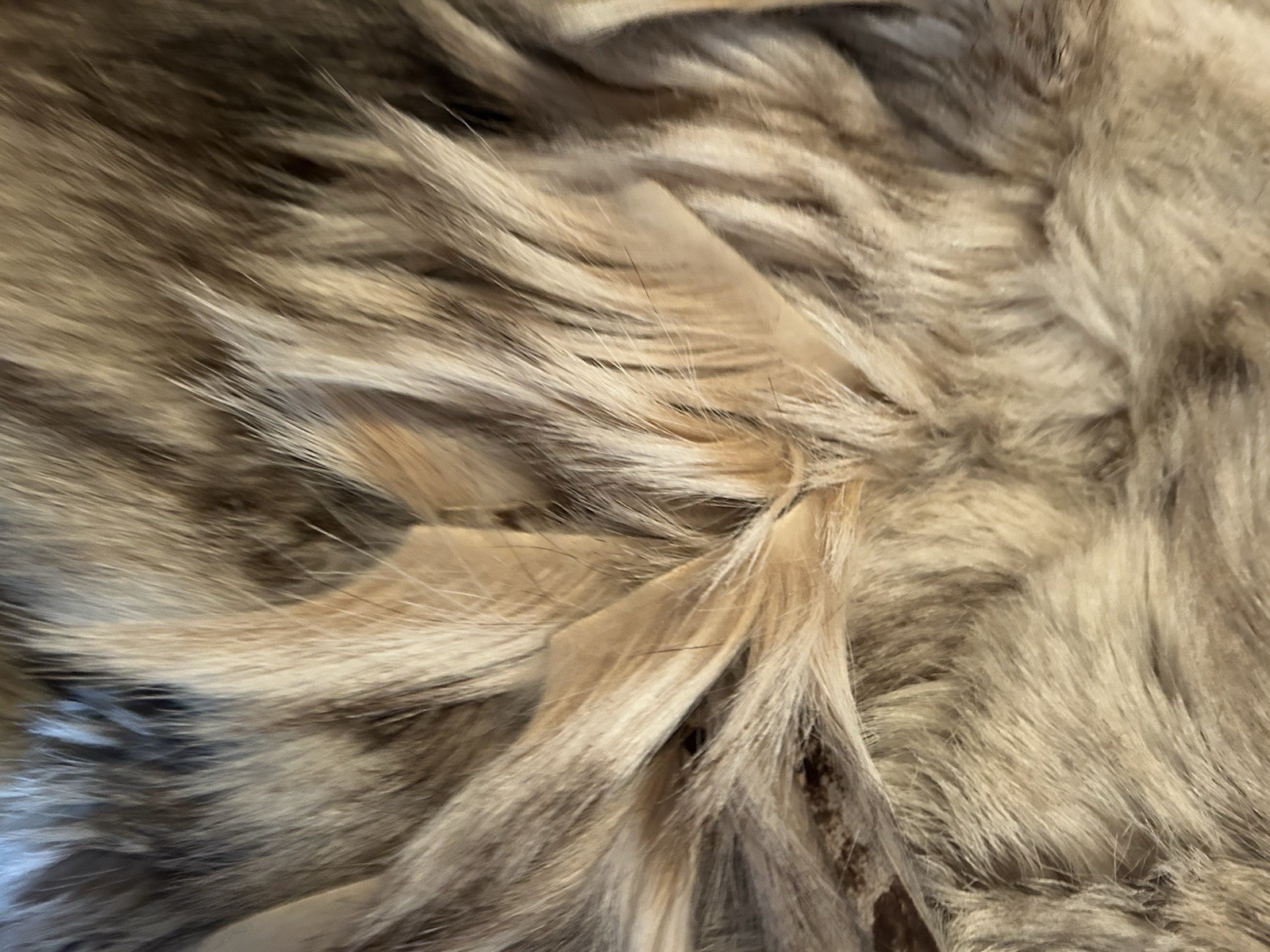 Vintage PD Furs AUTHENTIC Fur Coat Western Fringe 3 Snap Front