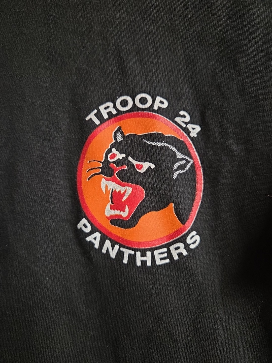 Vintage 90s Y2K HANES Beefy Large Black Panthers T-shirt Troop 24 20×27.5