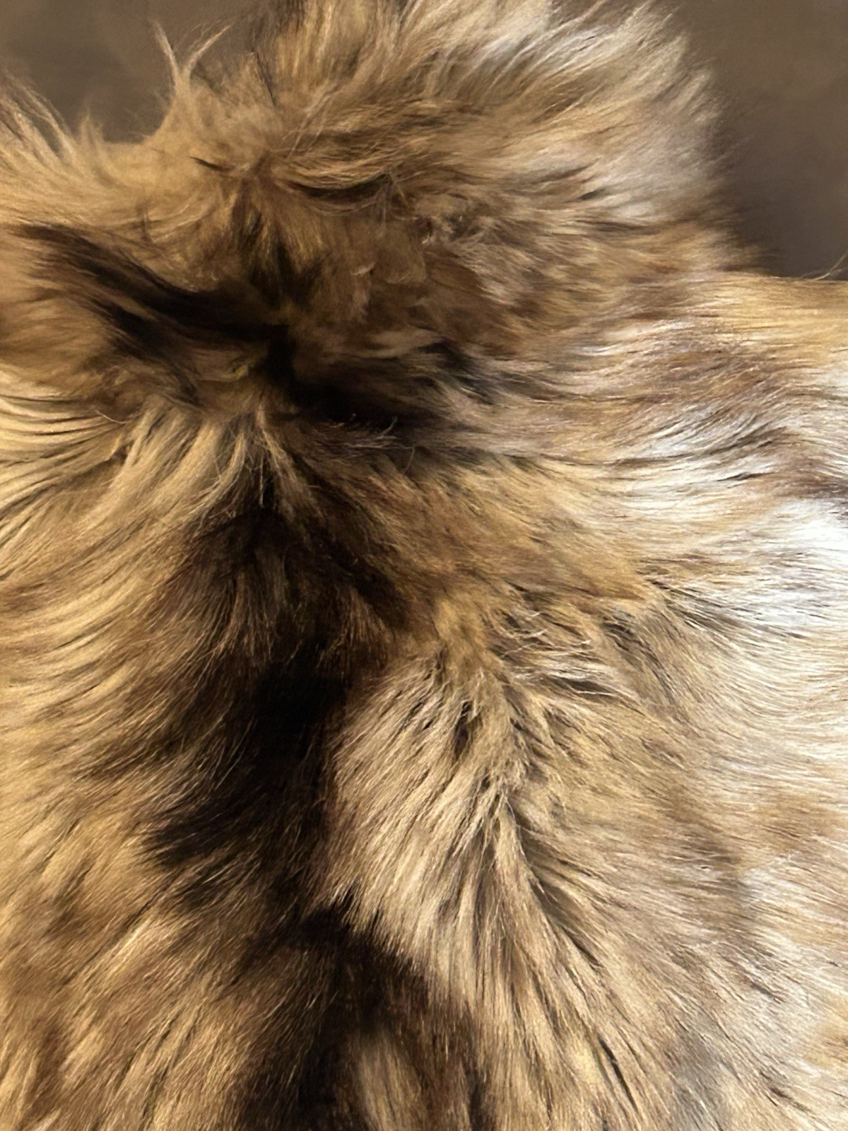 Vintage PD Furs AUTHENTIC Fur Coat Western Fringe 3 Snap Front