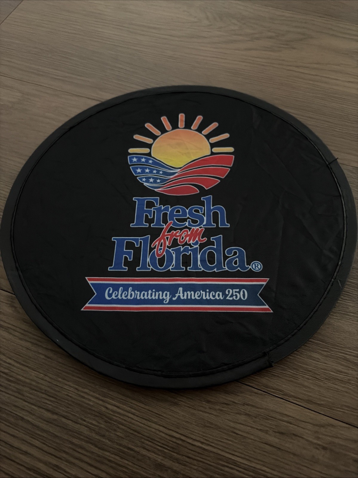 Folding Compact Hand Fan Fresh From Florida Black Easy Storage Pouch