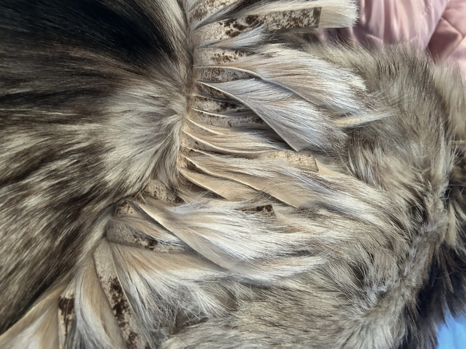 Vintage PD Furs AUTHENTIC Fur Coat Western Fringe 3 Snap Front