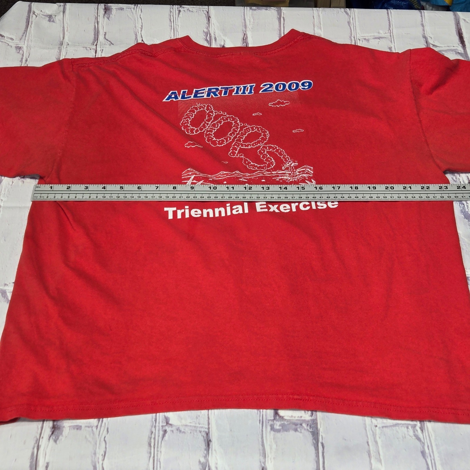 Vintage 2009 Eagle Airport Fly Vail Distressed Thrashed TShirt Men XL Red Gildan