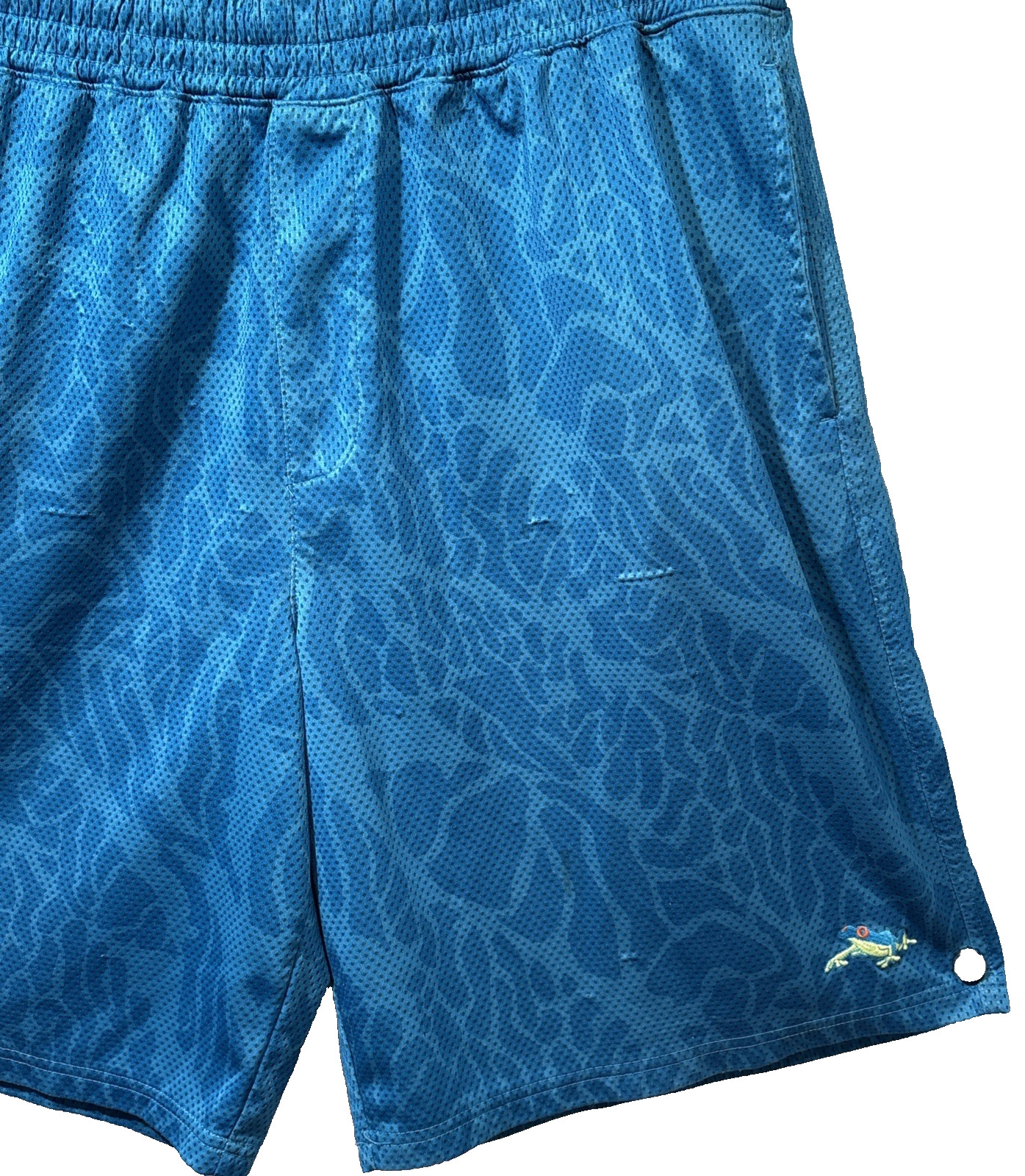 Y2K Oakley Blue “Frogskin” Athletic Frog Board Shorts M Surf Rare Logo Vintage
