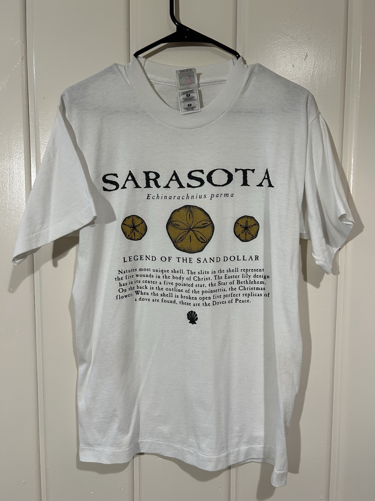 Vintage Single Stitch Sand Dollar T Shirt Medium