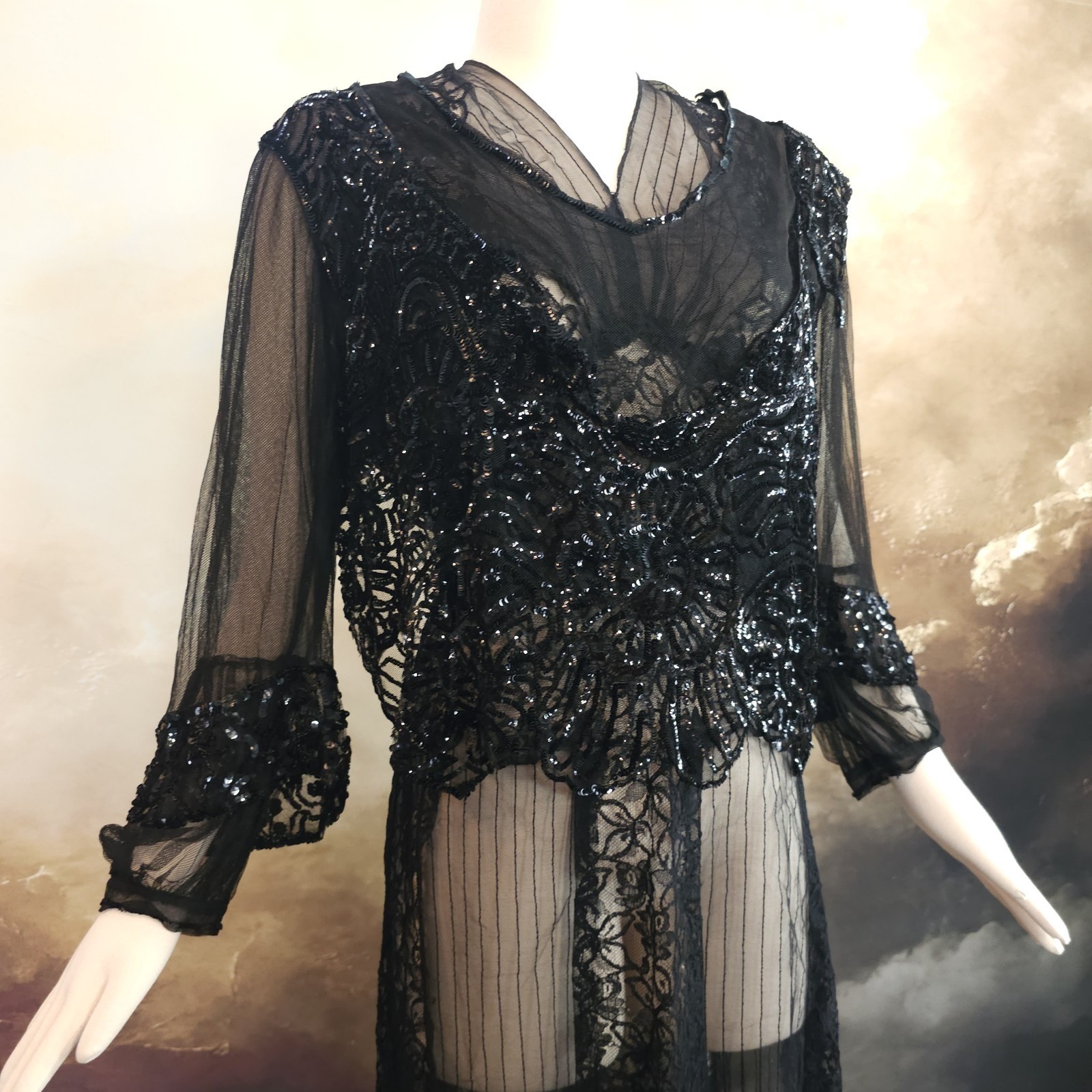 Unbelievable Rare Chiffon Fully Sequined Edwardian 1910s 20s Blouse Top Antique
