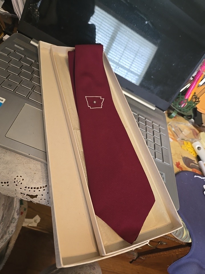 Rhynecliffe Handmade Silk Tie Handmade “With the Dots” 👔state Of Ark & Rhinesto